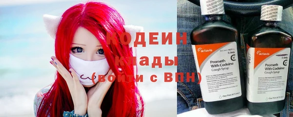 стаф Новозыбков