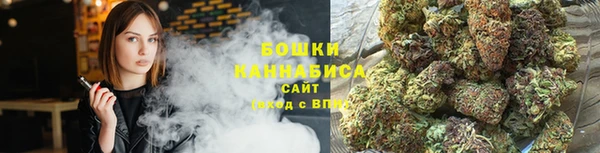 гидропоника Саяногорск