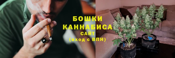 стаф Новозыбков