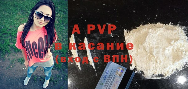 стаф Новозыбков