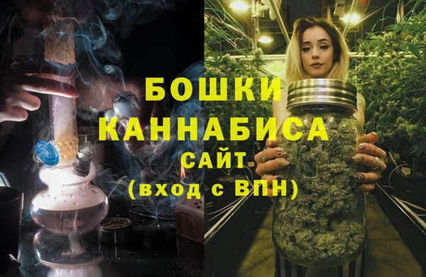 индика Балахна