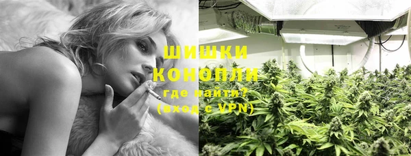 стаф Новозыбков