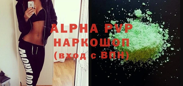 стаф Новозыбков