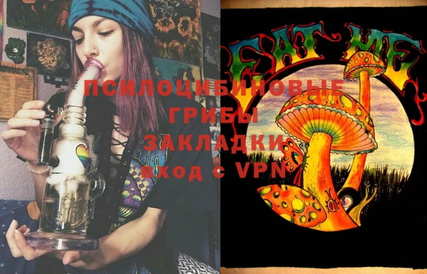 стаф Новозыбков