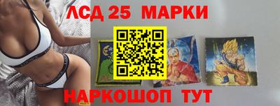 мдпв Гатчина