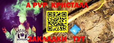 мдпв Гатчина