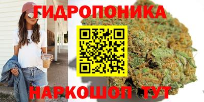 дживик Гагарин