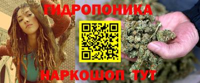 бошки Гай