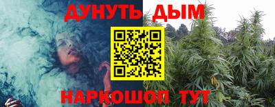мдпв Гатчина
