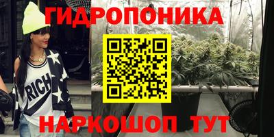 бошки Гай