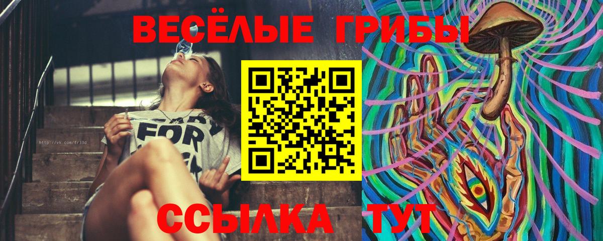 даркнет сайт  Галлюциногенные грибы Psilocybine cubensis  Вход с VPN  Урюпинск 